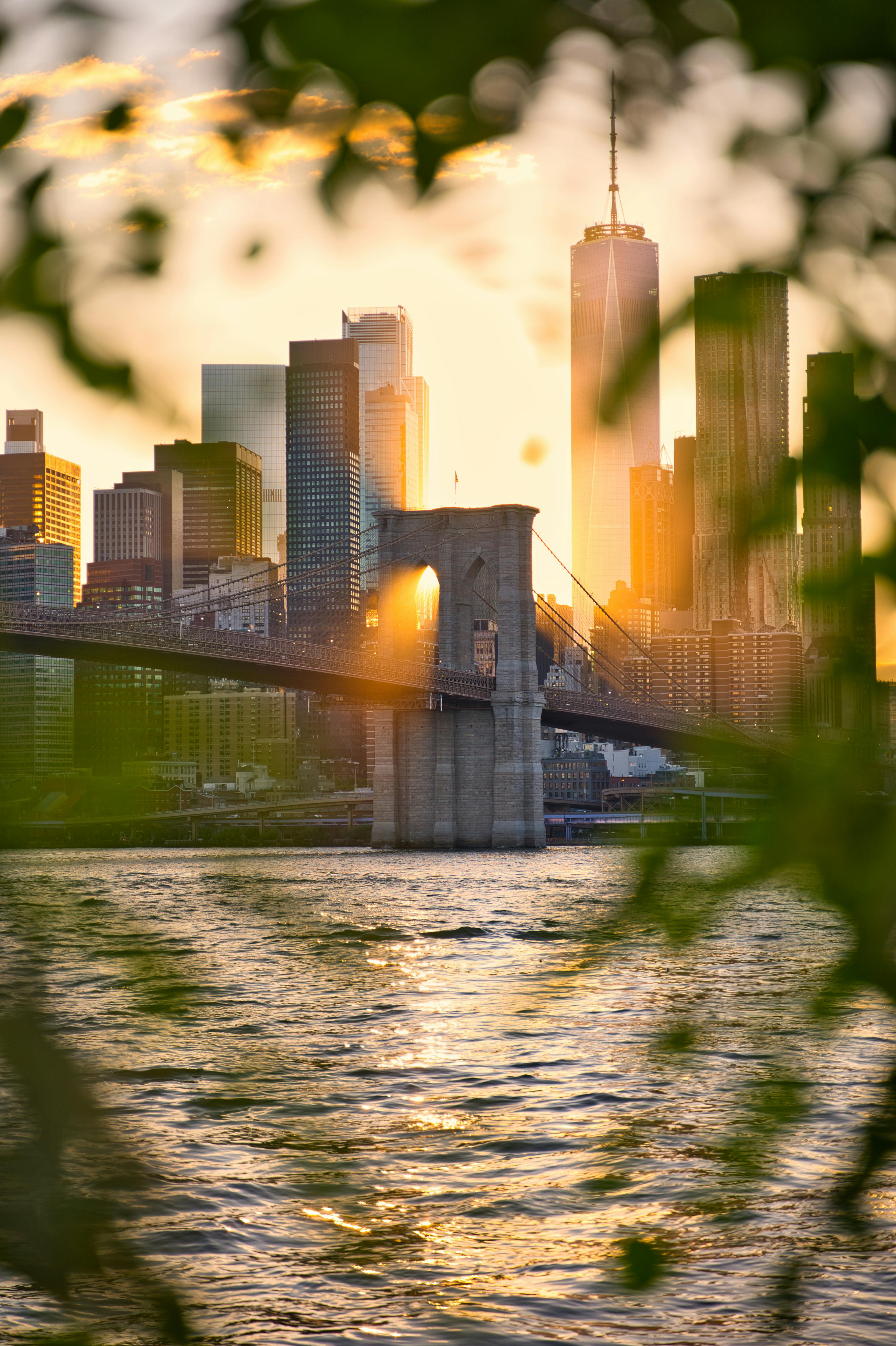 Public buyers and school staff